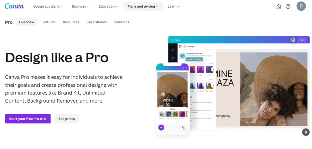 canva pro graphics design software