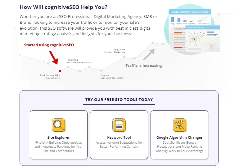 how will cognitiveseo help you.