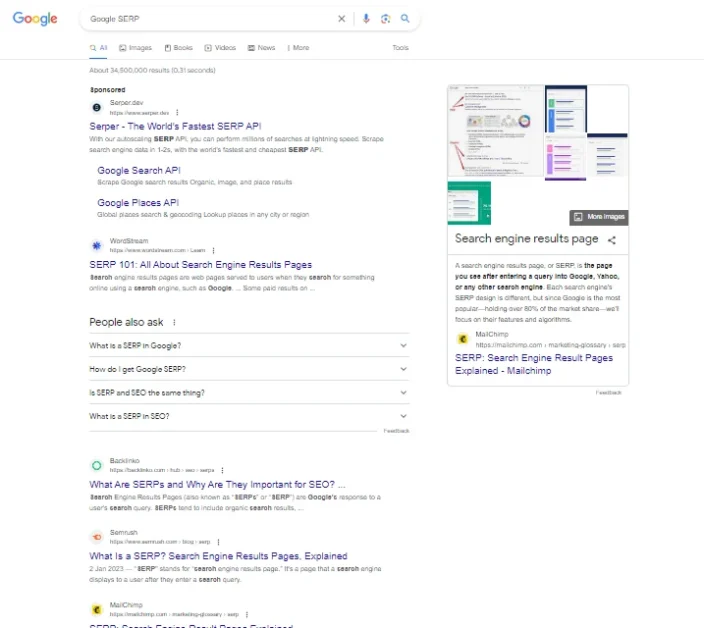 example google serp